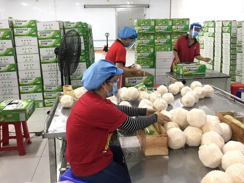 Để nông sản Việt có những thương hiệu kiểu 'nho mẫu đơn Hàn Quốc'