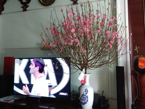 Nhớ đào Nhật Tân
