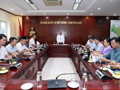 Hà Nội gấp rút phối hợp chuẩn bị tổ chức Festival Bảo tồn và Phát triển Làng nghề toàn cầu năm 2026