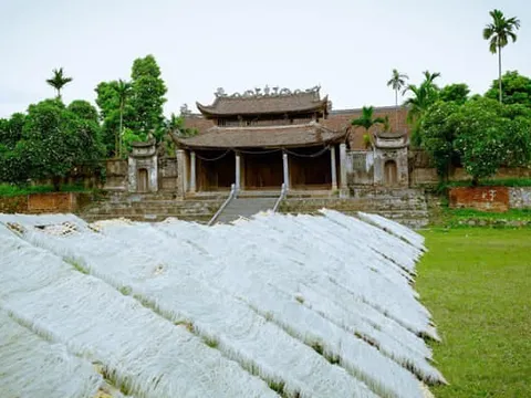 Phát triển ngành nghề nông thôn: Khơi nguồn mạch sống di sản, chuyển đổi số và tầm nhìn chiến lược phát triển bền vững