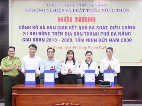 Công bố và bàn giao kết quả rà soát, điều chỉnh 3 loại rừng