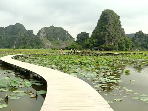 Phát triển nông sản địa phương: Động lực mới cho kinh tế Ninh Bình
