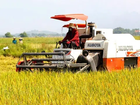 Hàn Quốc đẩy mạnh xuất khẩu thiết bị nông nghiệp sang Việt Nam