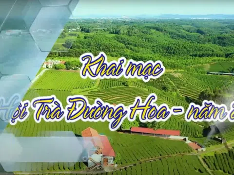 Quảng Ninh đẩy mạnh phát triển du lịch gắn với cây chè qua Lễ hội Trà Đường Hoa