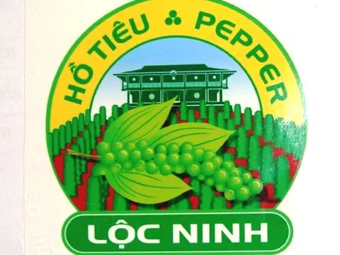 Đẩy mạnh quảng bá thương hiệu “Hồ tiêu Lộc Ninh”