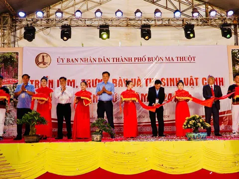 TP Buôn Ma Thuột tổ chức giới thiệu triển lãm sinh vật cảnh