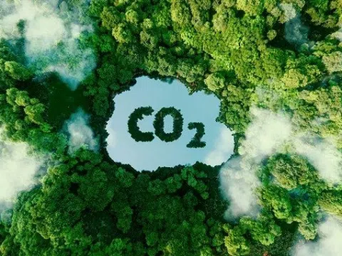 6 triệu tấn CO2 được đề xuất chuyển nhượng tại vùng Bắc Bộ