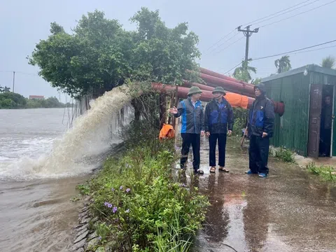 Đảm bảo các biện pháp bảo vệ cây trồng trong cơn bão số 3