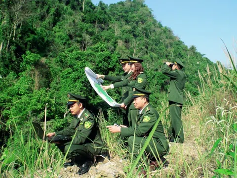 Tăng hiệu quả quản lý và bảo vệ rừng nhờ tận dụng chuyển đổi số