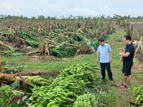 Thiếu hỗ trợ doanh nghiệp trong chính sách khắc phục thiệt hại do thiên tai, dịch bệnh ngành nông nghiệp