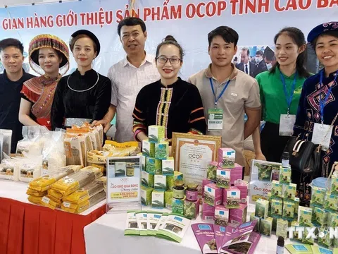 Cao Bằng phát triển sản phẩm OCOP gắn với du lịch và thương mại