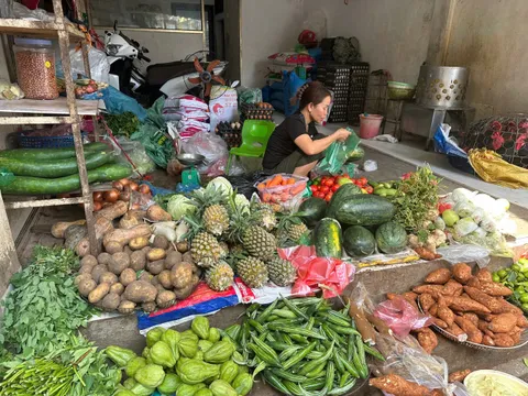 Giá rau xanh Hà Nội vẫn chưa "hạ nhiệt"