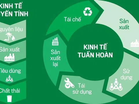 Nền kinh tế tuần hoàn: động lực của đổi mới kinh tế và phát triển xanh