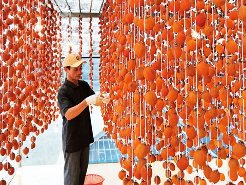 ''Bệ phóng thương mại điện tử Tây Nguyên'': Cần doanh nghiệp hưởng ứng
