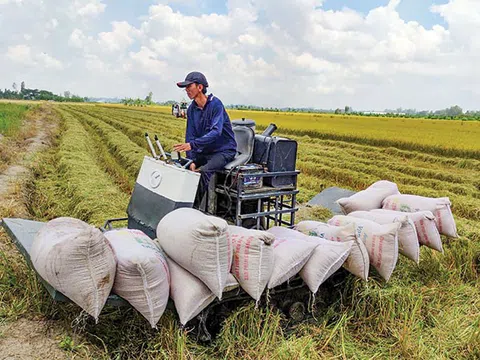 Nông sản Việt “đua nhau” lập kỷ lục xuất khẩu ra nước ngoài