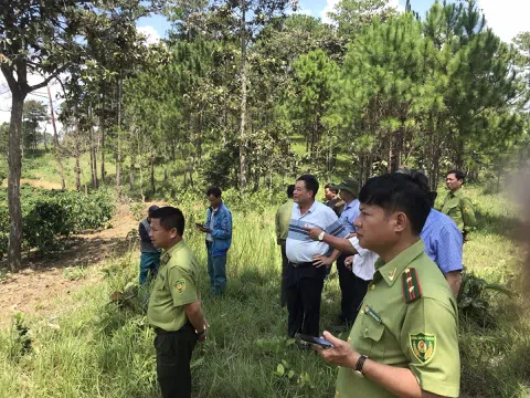 Đức Trọng tăng cường công tác quản lý và bảo vệ rừng
