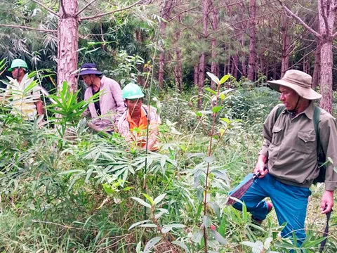 Ka La TơnGu thực hiện chính sách chi trả dịch vụ môi trường rừng