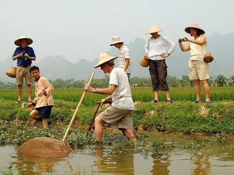 Ninh Bình: Phát triển du lịch nông nghiệp, nông thôn 'níu chân' du khách