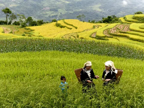 Tuyên Quang tiềm năng phát triển du lịch nông nghiệp