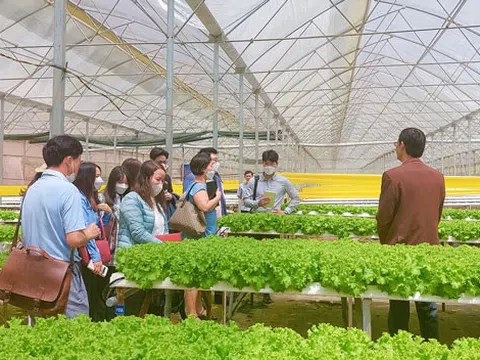 Ngành Nông nghiệp Lâm Đồng tiếp tục đổi mới mô hình tăng trưởng hướng đến toàn diện, bền vững và hiện đại