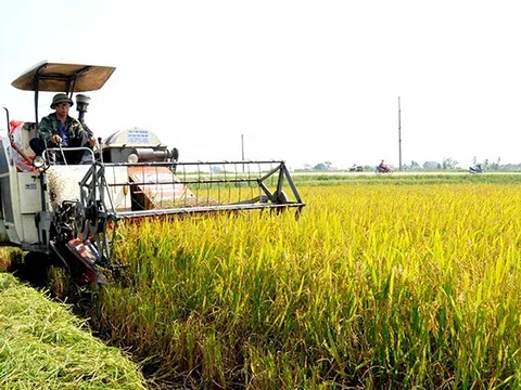 Phát triển không gian nông nghiệp trong định hướng quy hoạch Thủ đô Hà Nội văn hiến-văn minh-hiện đại