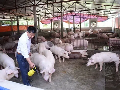 Thái Nguyên phát triển mô hình chăn nuôi an toàn sinh học theo hướng hữu cơ