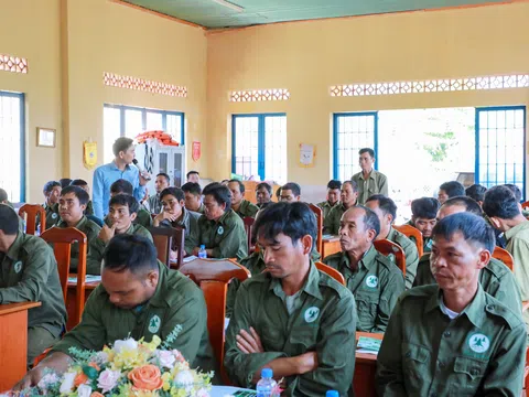 Lâm Đồng đạt kết quả tích cực trong công tác quản lý, bảo vệ và phát triển rừng