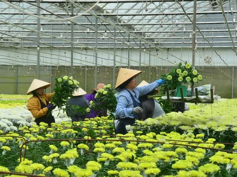 Ngành Nông nghiệp Lâm Đồng tích hợp 3 giải pháp phát triển nông nghiệp
