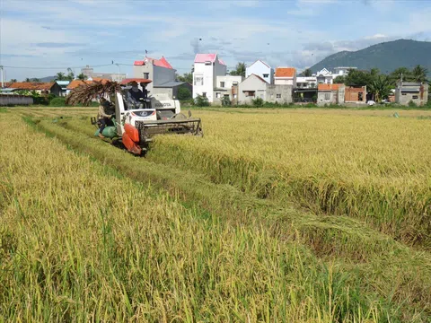 Khánh Hòa: Năm 2023, tăng trưởng GDP toàn ngành nông nghiệp đạt 3,83%, cao nhất trong nhiều năm gần đây.