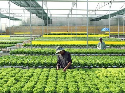 Đồng Nai: Chú trọng nâng cao giá trị sản xuất nông nghiệp