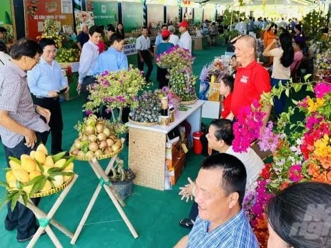 Đồng Tháp: Ngày hội Nông sản Lai Vung thu hút hơn 25 ngàn lượt khách tham quan