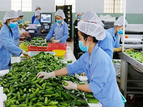 Nông sản của Việt Nam liên tục đón nhận nhiều tin vui đầu năm