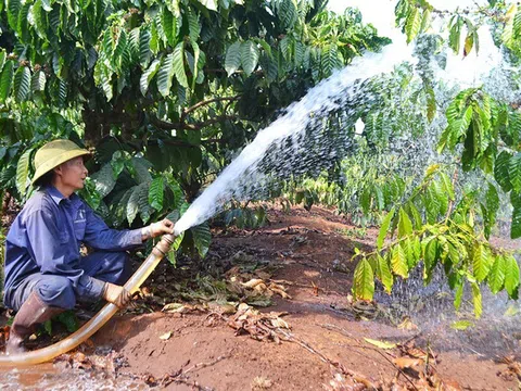 Lâm Đồng đảm bảo tài nguyên nước, ứng phó tốt với khô hạn kéo dài