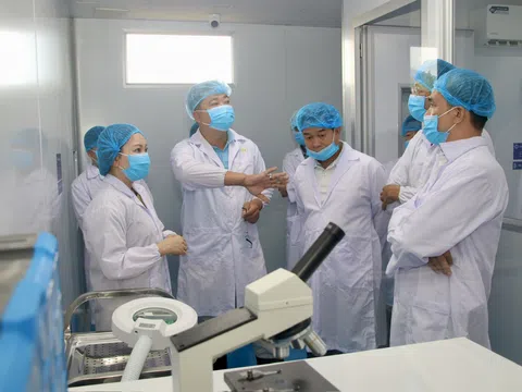 Khánh Hòa và Đắk Lắk: Liên kết hợp tác đưa sản phẩm yến sào xuất khẩu ra thị trường quốc tế