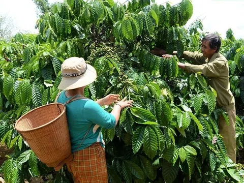 Đắk Nông: Xây dựng nông thôn mới gắn với giảm nghèo bền vững