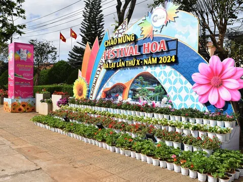 Festival Hoa Đà Lạt “Bản giao hưởng sắc màu” với hàng ngàn tác phẩm hoa, cây kiểng