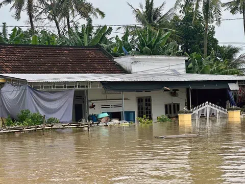 Quảng Ngãi: Khẩn trương triển khai ứng phó mưa, lũ và khắc phục các thiệt hại do mưa, lũ gây ra