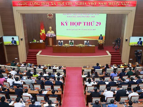 Quảng Ngãi: Năm 2024 thực hiện đạt và vượt kế hoạch tất cả chỉ tiêu kinh tế - xã hội