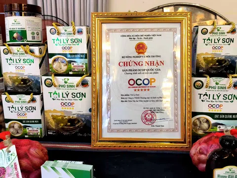 Quảng Ngãi: 640 sản phẩm OCOP 3 sao trở lên tiêu thụ rộng rãi trên thị trường