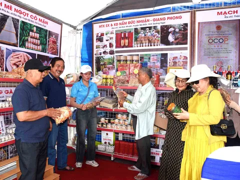 Quảng Ngãi: Đánh giá, phân hạng sản phẩm OCOP có tiềm năng đạt 4 và 5 sao đợt 1 năm 2025