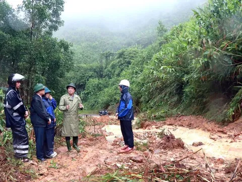 Quảng Ngãi: Khẩn trương triển khai các giải pháp khắc phục tình trạng sạt lở, đảm bảo lưu thông an toàn