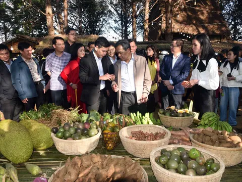 Quảng Ngãi: Tổ chức phiên chợ Nông sản và Dược liệu, Không gian Ẩm thực - Sản phẩm OCOP năm 2026