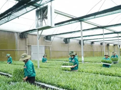 Chính quyền số Hà Nội: Dịch vụ công trực tuyến trở thành yêu cầu bắt buộc