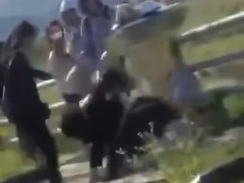 Gia Lai: Nhóm học sinh lớp 8 đánh nữ sinh lớp 10 ở ngoài trường học