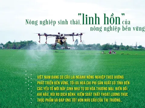 Nghị quyết 57 của Bộ Chính trị tạo động lực phát triển Nông nghiệp, Nông dân và Nông thôn ở nước ta đi vào chiều sâu và ngày càng thực chất hơn