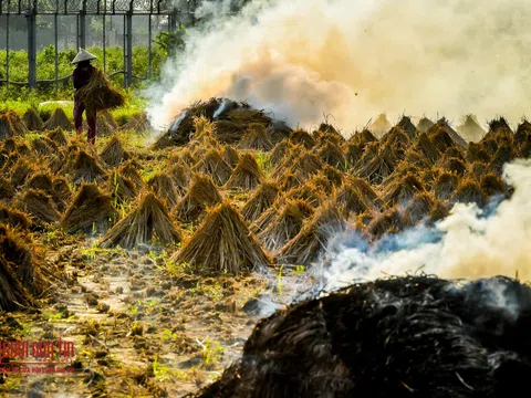 Tọa đàm: Rơm rạ và bầu trời - Đốt hay giữ màu xanh?