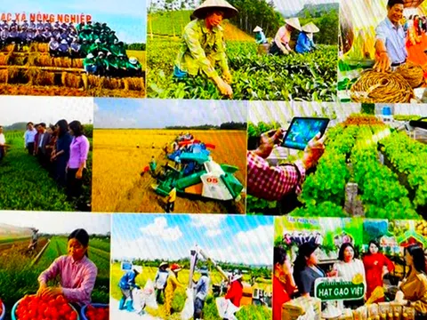 Kiện toàn Quỹ Hỗ trợ nông dân Trung ương: Động thái chiến lược thúc đẩy phát triển nông nghiệp