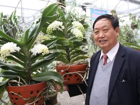 GS.TSKH Trần Duy Quý nói về Giá trị dược liệu của lan rừng Việt Nam