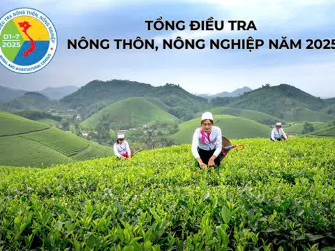 Tổng điều tra nông thôn, nông nghiệp năm 2025