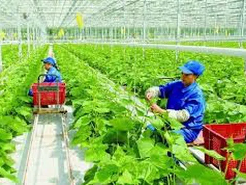 Bàn về tăng trưởng xanh và Nông nghiệp sinh thái